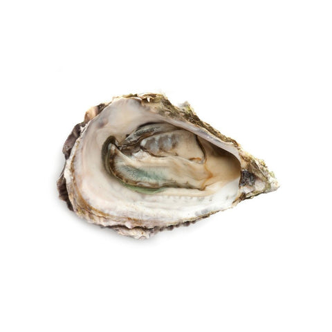 Native Oysters - 12doz (1.25ea)